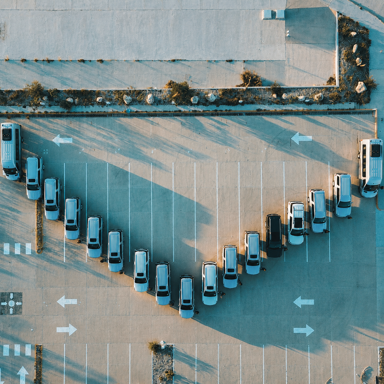 Comfort Cabo fleet of SUVs and vans parked in Los Cabos